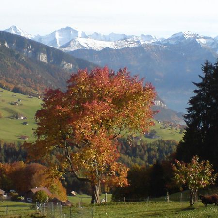 Hotel Rothorn Vintage-Style Sigriswil Exterior foto